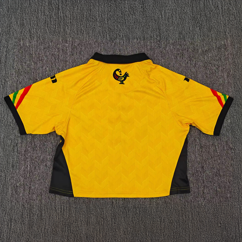 Ghana Home Jersey (Cropped)