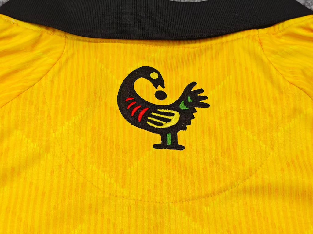 Ghana Home Jersey (Cropped)